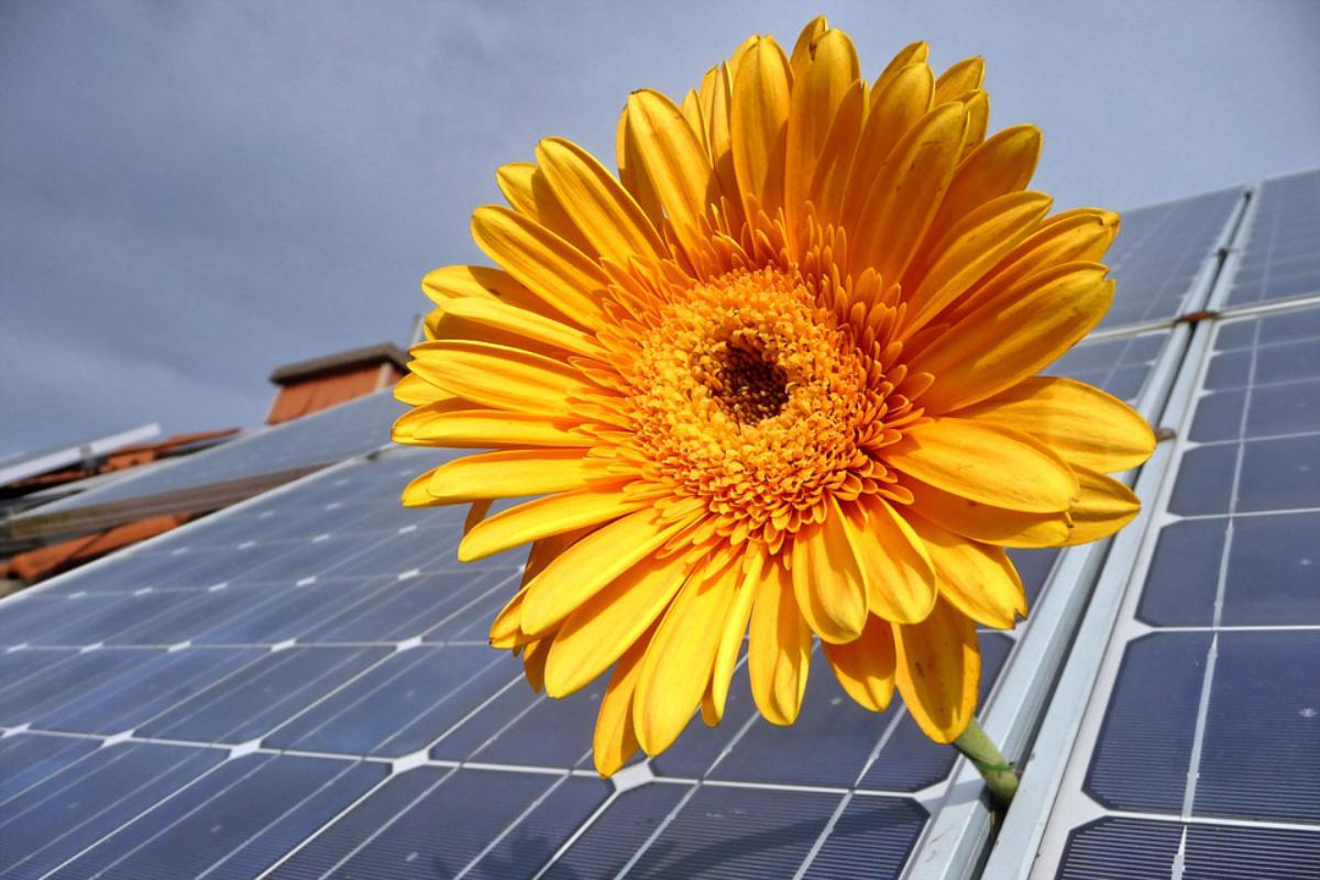 Nettoyage de panneaux solaires photovoltaïques à l'eau pure